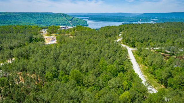 0 Birds Eye Way Lot 1111, Guild, TN 37340