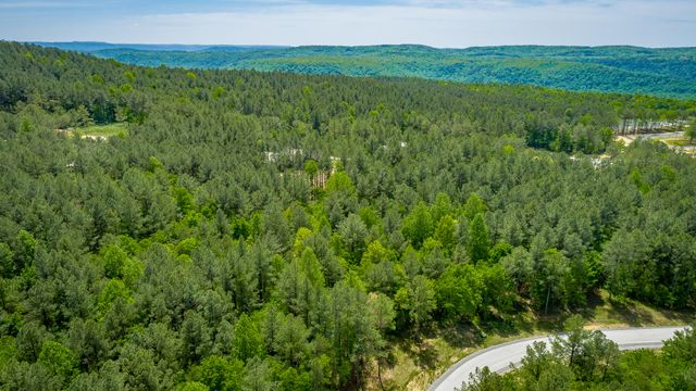 0 Birds Eye Way Lot 1111, Guild, TN 37340