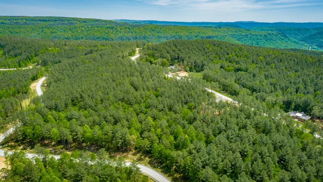0 Birds Eye Way Lot 1111, Guild, TN 37340