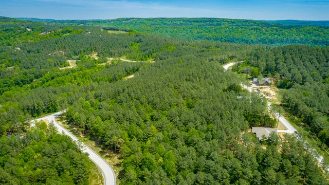 0 Birds Eye Way Lot 1111, Guild, TN 37340