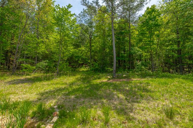 0 Birds Eye Way Lot 1111, Guild, TN 37340