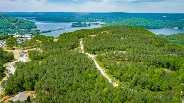 0 Birds Eye Way Lot 1111, Guild, TN 37340