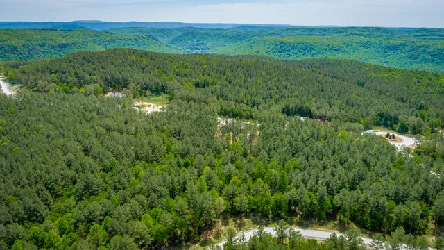 0 Birds Eye Way Lot 1111, Guild, TN 37340