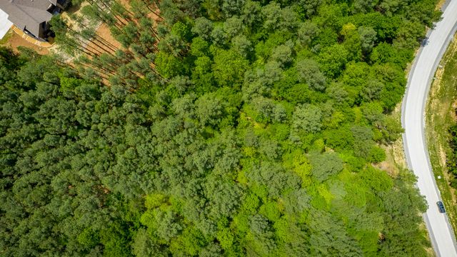 0 Birds Eye Way Lot 1111, Guild, TN 37340