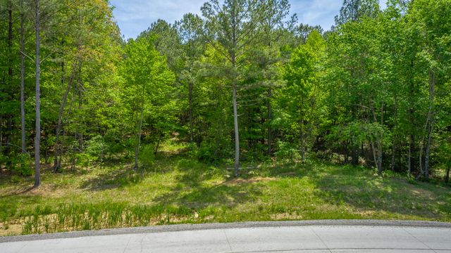 0 Birds Eye Way Lot 1111, Guild, TN 37340