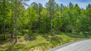 0 Birds Eye Way Lot 1111, Guild, TN 37340