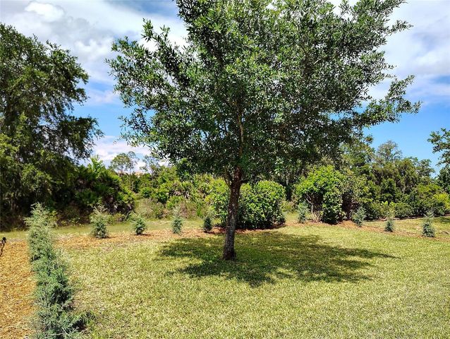 1047 OAK BLUFF DRIVE, Davenport, FL 33837