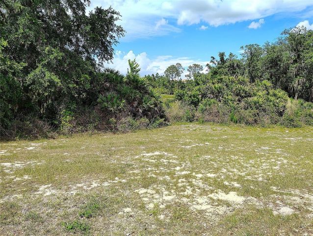 1047 OAK BLUFF DRIVE, Davenport, FL 33837