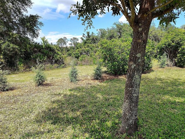 1047 OAK BLUFF DRIVE, Davenport, FL 33837