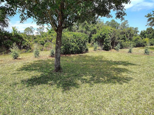 1047 OAK BLUFF DRIVE, Davenport, FL 33837