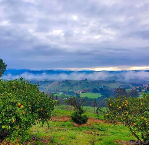 5104 Olive Hill Trl, Bonsall, CA 92003