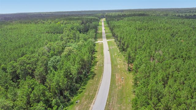 11991 High Branch Way, Willis, TX 77378