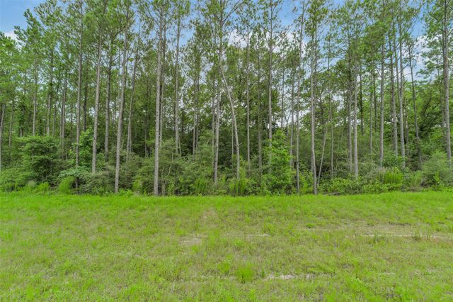 11991 High Branch Way, Willis, TX 77378