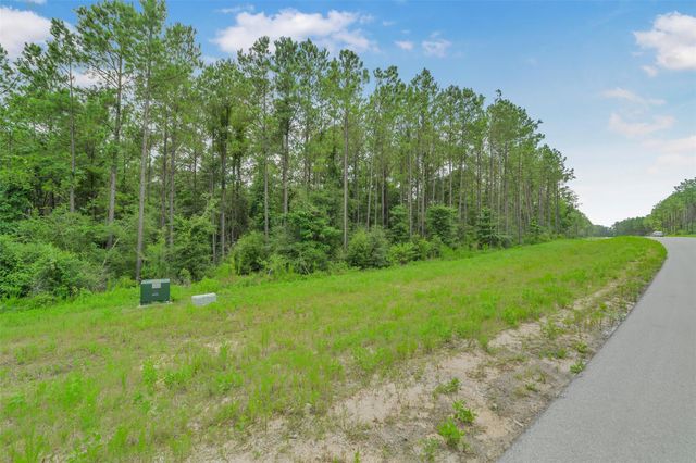 11991 High Branch Way, Willis, TX 77378
