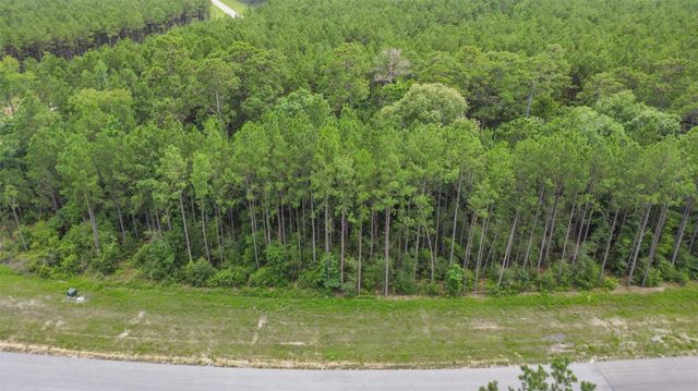 11991 High Branch Way, Willis, TX 77378