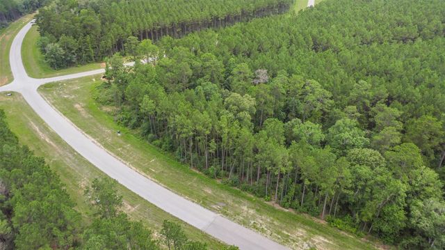 11991 High Branch Way, Willis, TX 77378