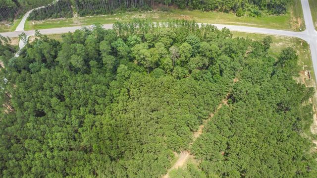 11991 High Branch Way, Willis, TX 77378