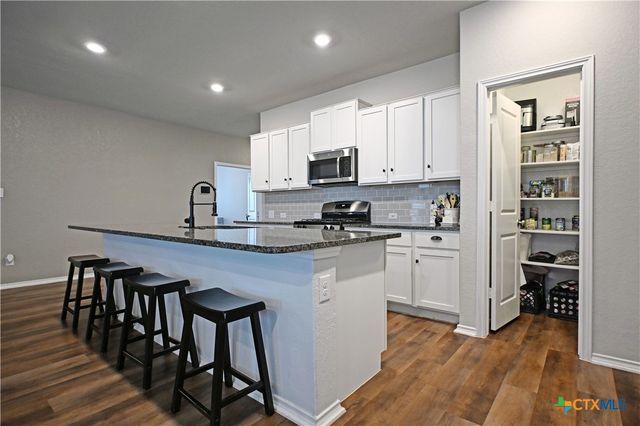 447 Agave Flats Drive, New Braunfels, TX 78130
