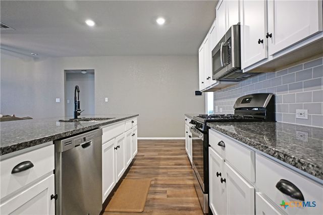 447 Agave Flats Drive, New Braunfels, TX 78130