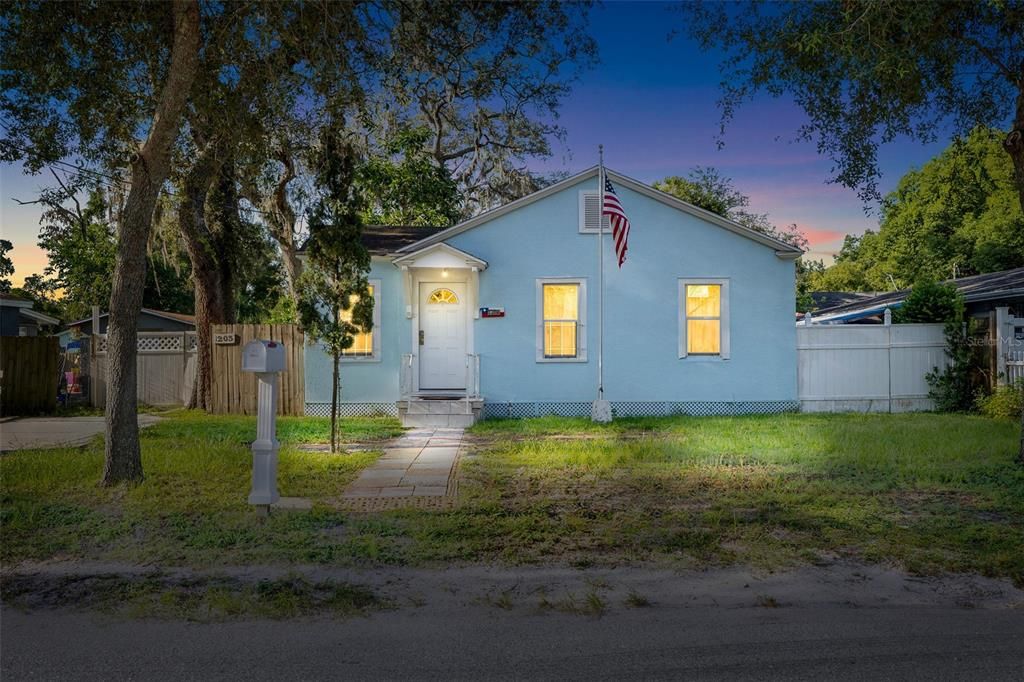 1203 E CARACAS STREET, Tampa, FL 33603
