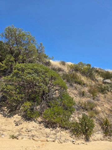 789 Crazy Horse Canyon, Aguanga, CA 92536
