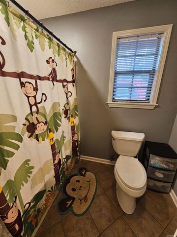 11 Dale Ct, Cabot, AR 72023