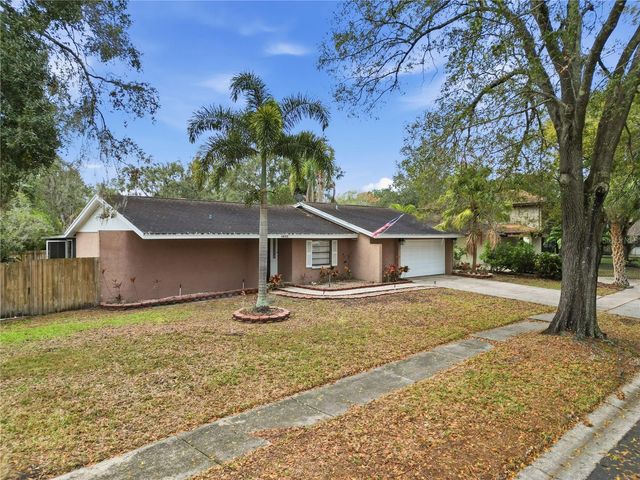 4602 BUCKEYE ROAD, Tampa, FL 33624
