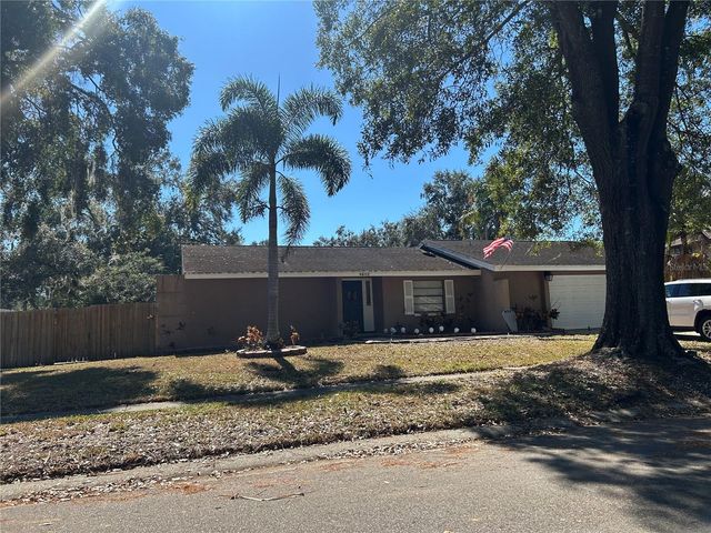4602 BUCKEYE ROAD, Tampa, FL 33624