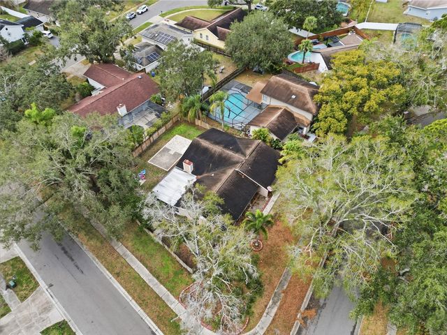 4602 BUCKEYE ROAD, Tampa, FL 33624