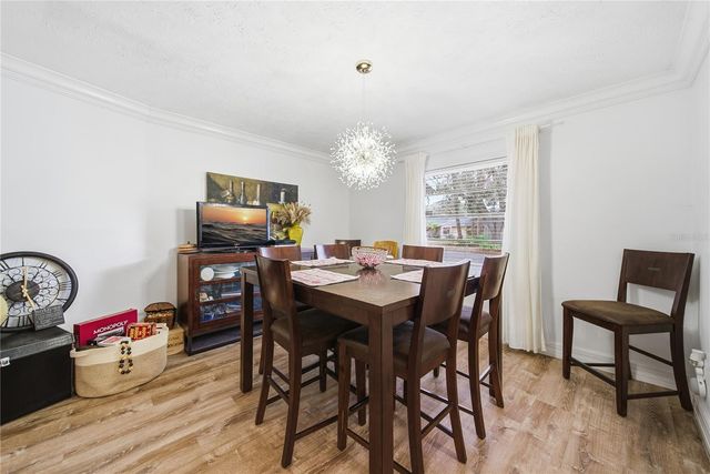 4602 BUCKEYE ROAD, Tampa, FL 33624