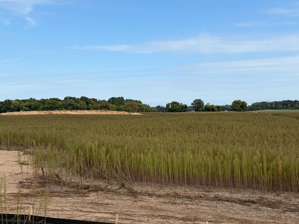 TBD (L10-SM East) Yellowpine Court NW, Isanti, MN 55040 — exterior