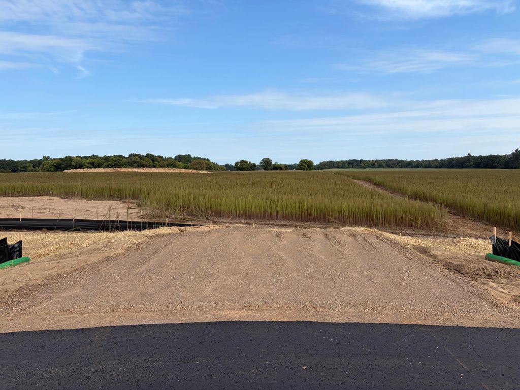 TBD (L10-SM East) Yellowpine Court NW, Isanti, MN 55040 — photo 4