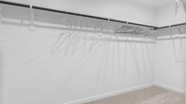 3419 Olivia Park Drive, Fulshear, TX 77441