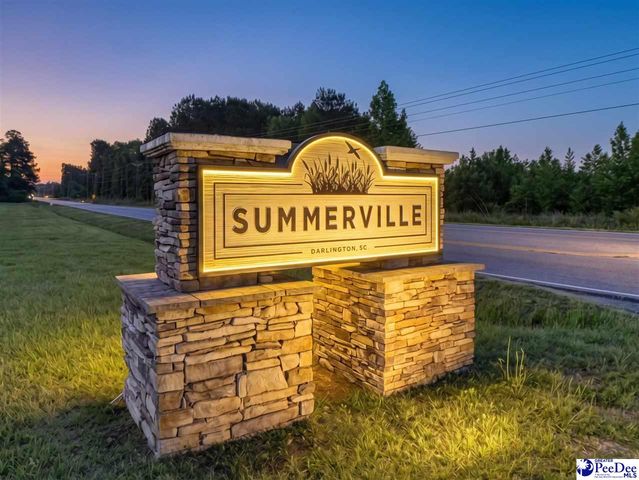 2066 E Paces Trl, Darlington, SC 29532