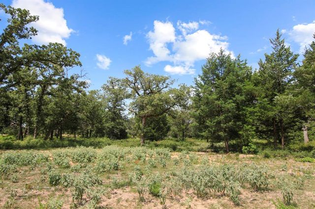 Tract 14 The Ranches at Woodland Trail, Caldwell, TX 77836