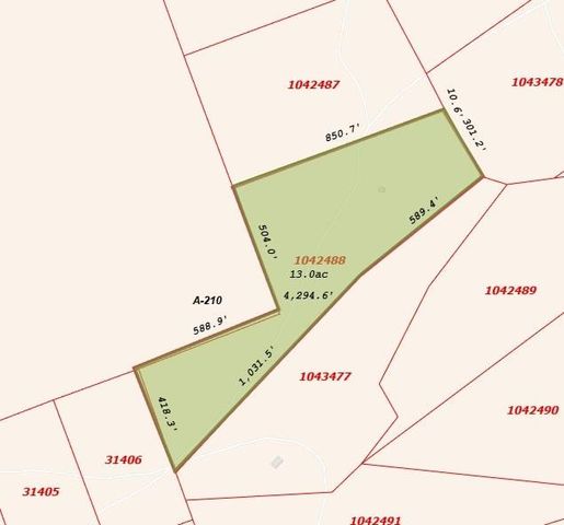 Tract 14 The Ranches at Woodland Trail, Caldwell, TX 77836