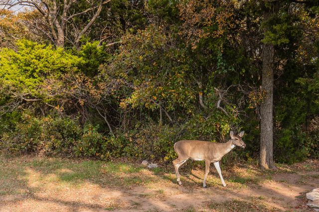 Lot 95 Cliffs Drive, Possum Kingdom Lake, TX 76449