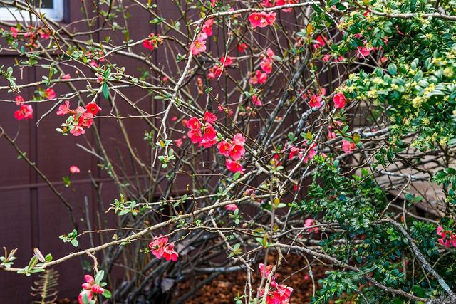 8400 Blackney Rd, Sebastopol, CA 95472