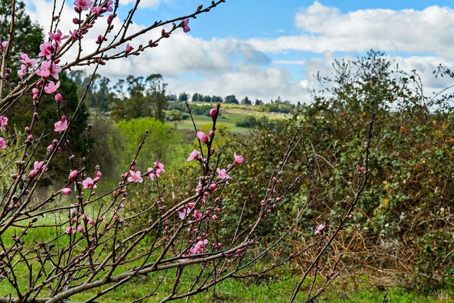 8400 Blackney Rd, Sebastopol, CA 95472