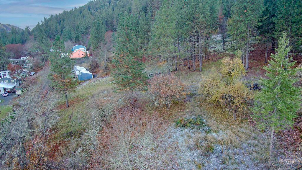 TBD May St Blk 56, Lot 7, Peck, ID 83545 photo 7