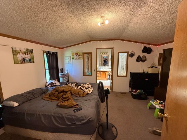 1786 Co Rd 2030, Mountain View, MO 65548