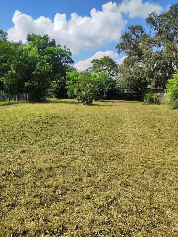 0 E LINEBAUGH AVENUE, Tampa, FL 33617