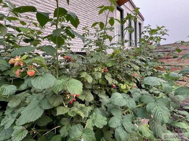 460 Rolling Hills Drive, Rexburg, ID 83440