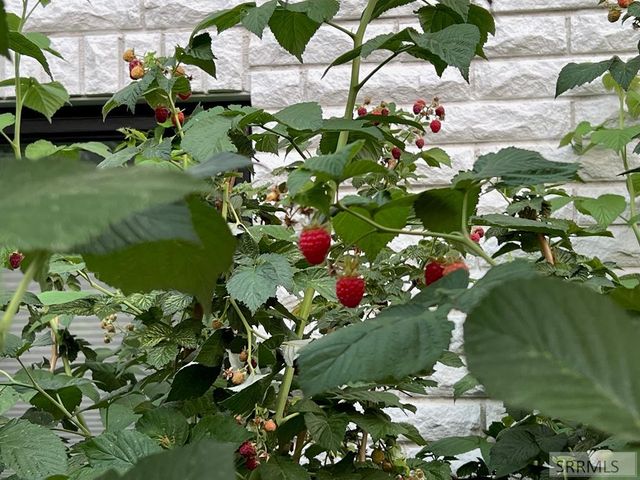 460 Rolling Hills Drive, Rexburg, ID 83440