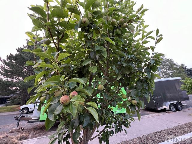 460 Rolling Hills Drive, Rexburg, ID 83440