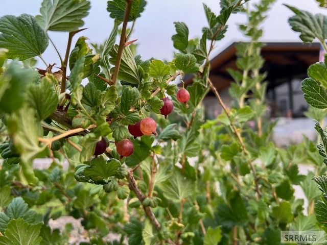 460 Rolling Hills Drive, Rexburg, ID 83440