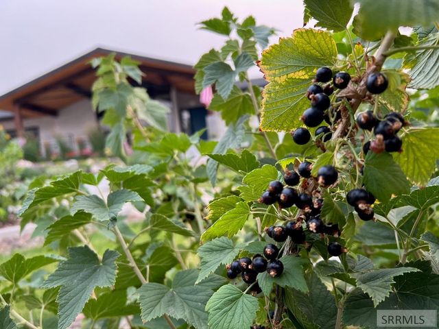 460 Rolling Hills Drive, Rexburg, ID 83440