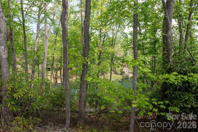 00 Deer Park Lake Road, Spruce Pine, NC 28777