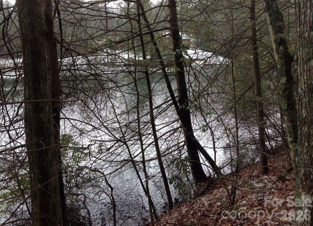 00 Deer Park Lake Road, Spruce Pine, NC 28777