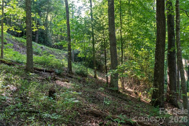00 Deer Park Lake Road, Spruce Pine, NC 28777